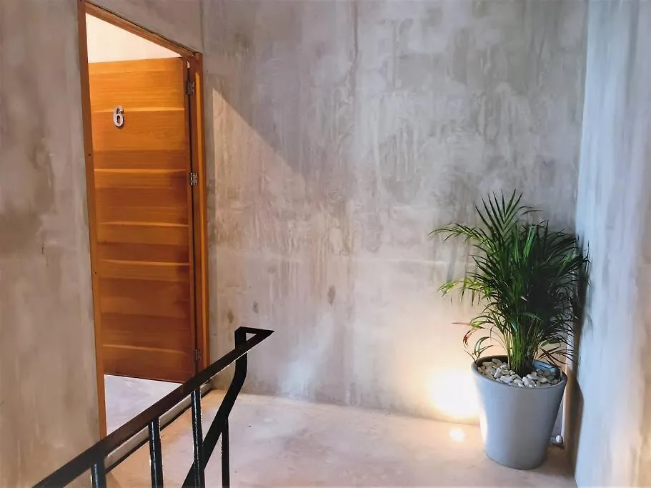 Soham 44, Fabulous Villa For 19 Guests In 普拉亚卡门 0*,