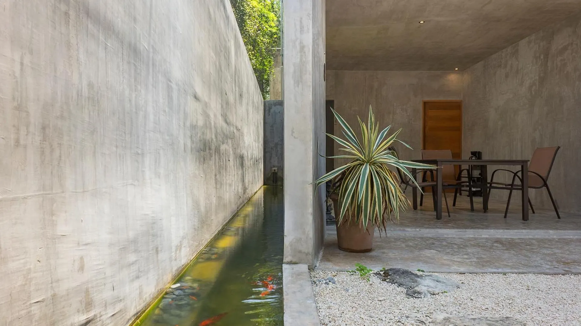 Soham 44, Fabulous Villa For 19 Guests In 普拉亚卡门